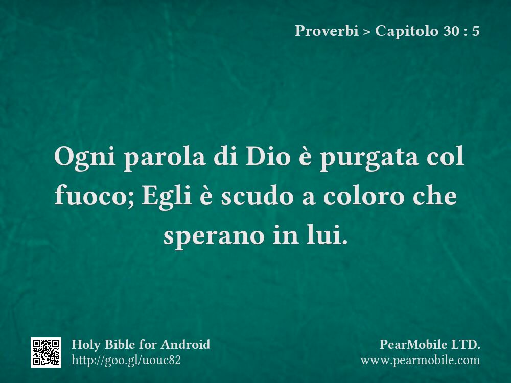 Proverbi, Capitolo 30:5